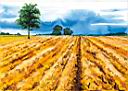 landschaft3.jpg
